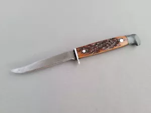 Vintage 6" Case? Queen? Trout Bird Fixed Blade Knife Stag Bone Handle Used - Picture 1 of 10