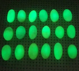 1Pcs "Glow In The Dark" Tibetan Wealth-God Ancient Luminous Stone Old Dzi Bead - Picture 1 of 11