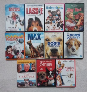 11 UK R2 DOG FILM DVD BUNDLE STRAYS DOGS PURPOSE JOURNEY MARLEY ME MAX HACHI - Picture 1 of 1
