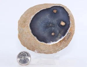 Beautiful Enhydro Agate 4" 634 grams large bubble inside Video Uruguay COA 6516 - Picture 1 of 6
