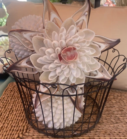 Vintage Wire Basket W/ Three White Shell Balls & One Assorted Shells Flower Cover