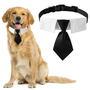 Pet Collar 1 Pack Black Dog Wedding Tuxedo Neck Tie Cotton Dog Neck Tie with ... - Picture 1 of 7