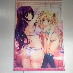 Japan Anime kleiner Wandteppich Wandhängung Alice Soft 29,5 Zoll x 20 Zoll Expressversand - Bild 1 von 10