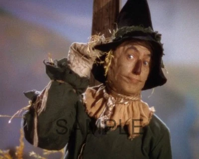 *The Wizard of Oz * - Fabric Art Quilt Block -Scarecrow - 100% Cotton 0046