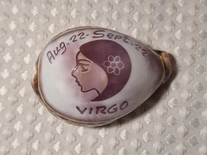 22 agosto-22 settembre Virgo souvenir conchiglia di mare intagliato Tiger Cowrie 3" Cypraea Tigris - Foto 1 di 6