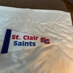 Pennant souvenir vintage St. Clair Saints scuola superiore Michigan - Foto 1 di 4