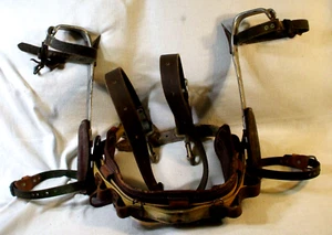 Tree Pole Climbing Lineman Belt 2 Ring w/Spike Gaffs & Safety Strap Max Sz 40 - Picture 1 of 24
