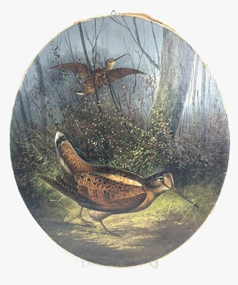 Gemälde Schnepfe Vogel A. Rohlfs rechts unten signiert Berliner Jagdmaler 19. Jh - Bild 1 von 4