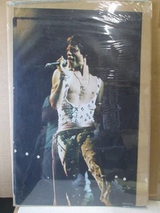 MICK JAGGER SINGER POSTER VINTAGE GARAGE ROLLING STONES 1974 CNG3440 - Foto 1 di 5