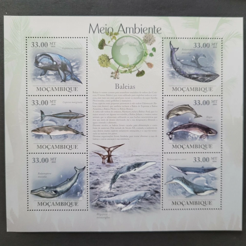 Mozambique 2010 / Fauna - Marine Life - Whales / 6v ms - Image 1 of 1