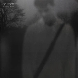No-Man ‎- Schoolyard Ghosts 2 LP VINYL ALBUM Porcupine Tree Steven Wilson Record - Picture 1 of 2