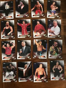 Pat Patterson 2016 Topps Wrestling Card (Sale Is For Card In Title) (8486) - Picture 1 of 1