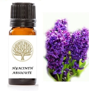 Aceite absoluto de jacinto 100 % puro - Imagen 1 de 8