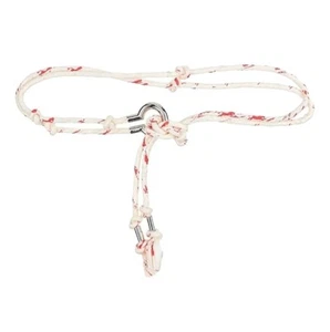 Chloe $1050 Braided Rope Belt in Dusty White One Size - Picture 1 of 4