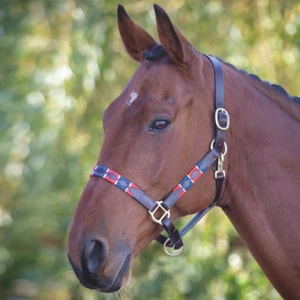 Shires Velociti GARA Leather Polo Headcollar - Picture 1 of 12