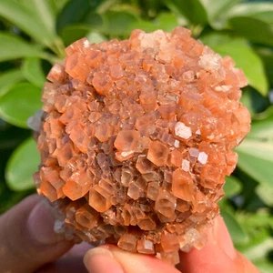 Cúmulo Estelar Aragonita 174G de Marruecos - Piedra preciosa curativa de cristal natural - Imagen 1 de 14