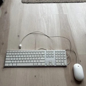 Apple  A1243 Wired Keyboard - 2 USB Ports W/Apple Wired Mighty Mouse A1152 - Picture 1 of 13