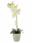 Artificial 59cm Orchid Plants in Ceramic Pot - Large Orchid Flowers