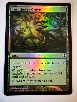 MTG Magic The Gathering Zendikar Turntimber Grove Common Land Foil LP - Image 1 of 2