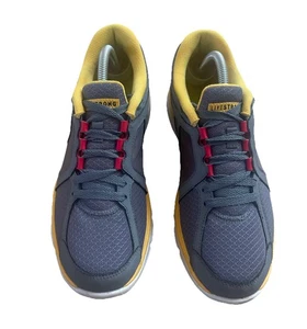 Nike Livestrong Dual Fusion Laufschuhe grau Herren Größe US 9 - Bild 1 von 6
