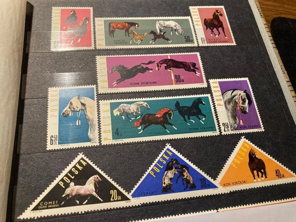 波兰 1963 年波兰马育种邮票套装 — 第 1/1 张图片