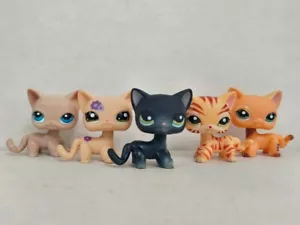 5 Stck./Posten LPS Littlest Pet Shop Kurzhaar Katze #228#1962#336#1451#1643 Figur Neu - Bild 1 von 4