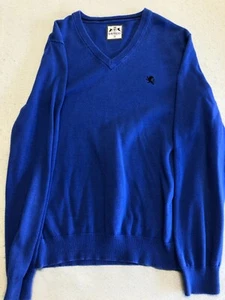 Express Sweater Mens Medium Royal Blue 100% Coton Lightweight V-Neck Prep - Picture 1 of 5