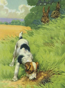 WIRE FOX TERRIER AND TWO RABBITS CHARMING DOG GREETINGS NOTE CARD - Picture 1 of 1