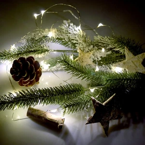 LED Drahtlichterkette 20/30er Lichterkette Warmweiß Biegbar für Wasser Silber - Bild 1 von 8