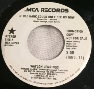 Waylon Jennings - If Ole Hank Could Only See Us Now (Chapter Five ... Nashville) - Picture 1 of 2