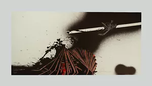 Emilio SCANAVINO - "Tramature", (B) - Serigrafia, 28,5 x 58 cm - Foto 1 di 5