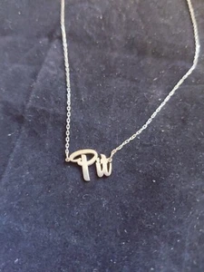 Collar de acero inoxidable plateado con nombre "Pit" 16" (13061) sin marca - Imagen 1 de 7