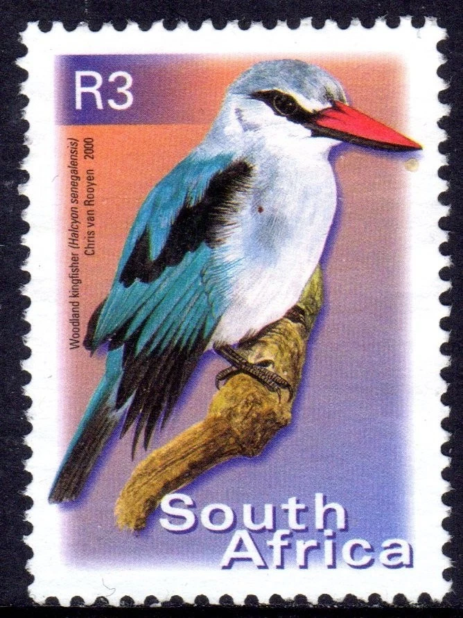 SOUTH AFRICA used     24/11 - Image 1 of 1