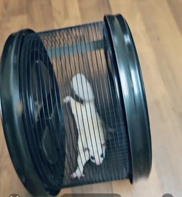 Мобильное колесо Sugar Glider - Изображение 1 из 4