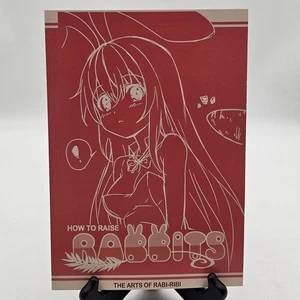How To Raise Rabbits Rabi-Ribi Limited Run Games Art Book Rare Hard To Find - Picture 1 of 9
