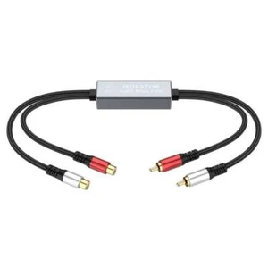 Filtro de ruido de audio RCA para automóvil Amplificador RCA Filtro de ruido de audio Aislador de bucle de tierra - Imagen 1 de 3
