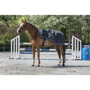 Ausreitdecke EQUI-THÈME TYREX 1200 Denier Nierendecke Regenreitdecke grau/ blau