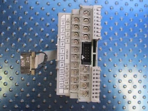 ALLEN BRADLEY 16 PT. USCITA SORGENTE 24VDC SER A REV B 1762-OB16 - Foto 1 di 3