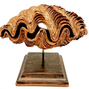 Home Accent Molded Clam Shell on Base Museum Display Style Wood & Resin Copper - Picture 1 of 12