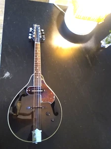 Ibanez A-Style Acoustic-Electric Mandolin Dark Violin Sunburst DAMAGE inside it - Picture 1 of 23