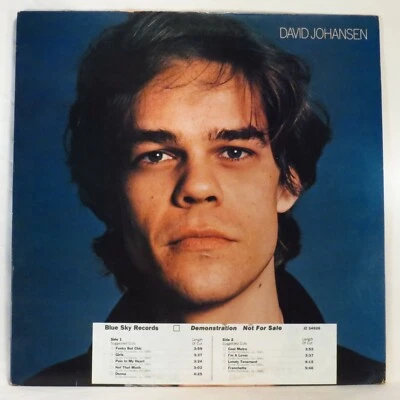 DAVID JOHANSEN - S/T 1978 1st US WL Promo LP EX / NM New York Dolls - Image 1 of 4