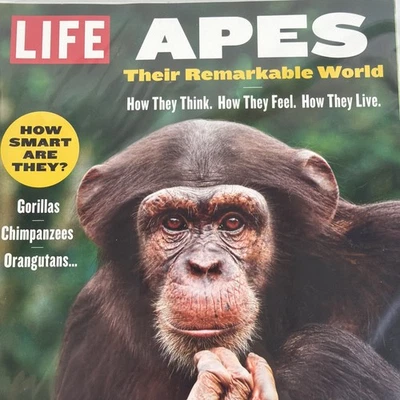 APES THEIR REMARKABLE WORLD LIFE MAGAZINE ISSUE 2024 HOW SMART ARE THEY? Foto 1 de 3