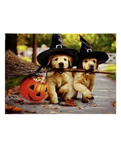 Halloween Karte, süße Welpen Hexenkostüme, lustige Hund Avanti Grußkarte NEU - Bild 1 von 8