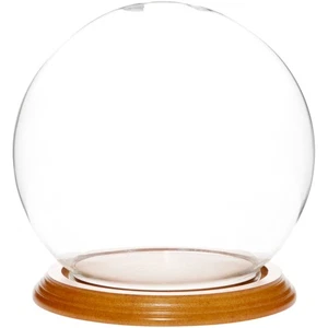 Plymor 6" x 7" Glass Display Dome Globe Cloche (Oak Veneer Base) - Picture 1 of 2