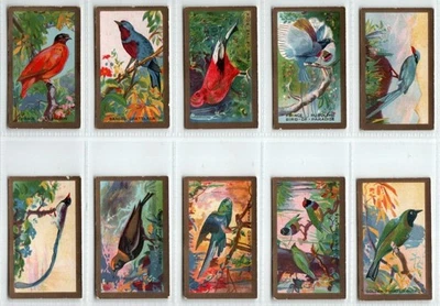 Abdulla: Feathered Friends 1935 Full Set 25 Cigarette Cards - Image 1 of 4