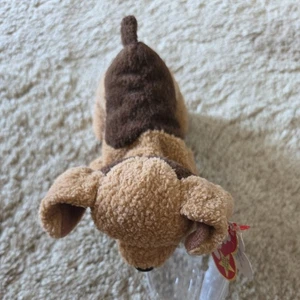 TY Beanie Baby Tuffy der Hund mit Etikett nicht mehr produziert Geburtsdatum: 12. Oktober 1996 - Bild 1 von 10