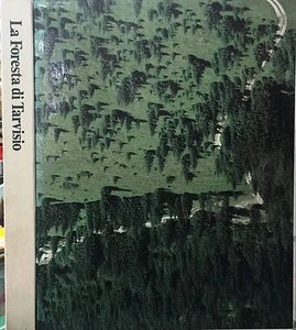 (Udine) LA FORESTA DI TARVISIO IRI.ITAL.STAT 1986 - Imagen 1 de 1