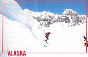 Vintage Alaska Chrome Postcard Alaskan Skier Slopes Danali National Park - Picture 1 of 2