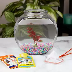 Culture Glass Fish Bowl with Starter Kit, 1 Gallon - Picture 1 of 9