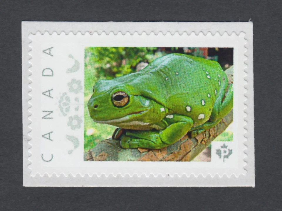 绿色木材 FROG = TOAD = 图片邮票 MNH 加拿大 2014 [pp9sn1] — 第 1/2 张图片